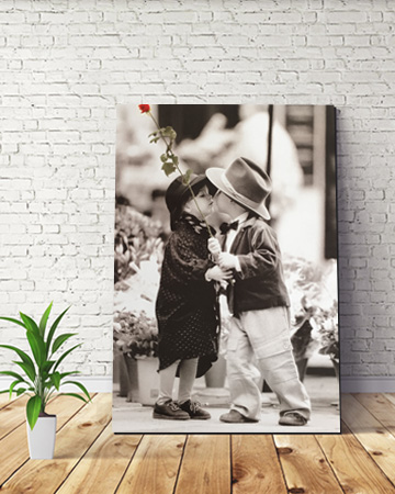 PICTURE & PLAQUe Mounting